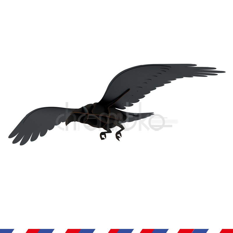 Corbeau Adam, Ravens volants - Ibride